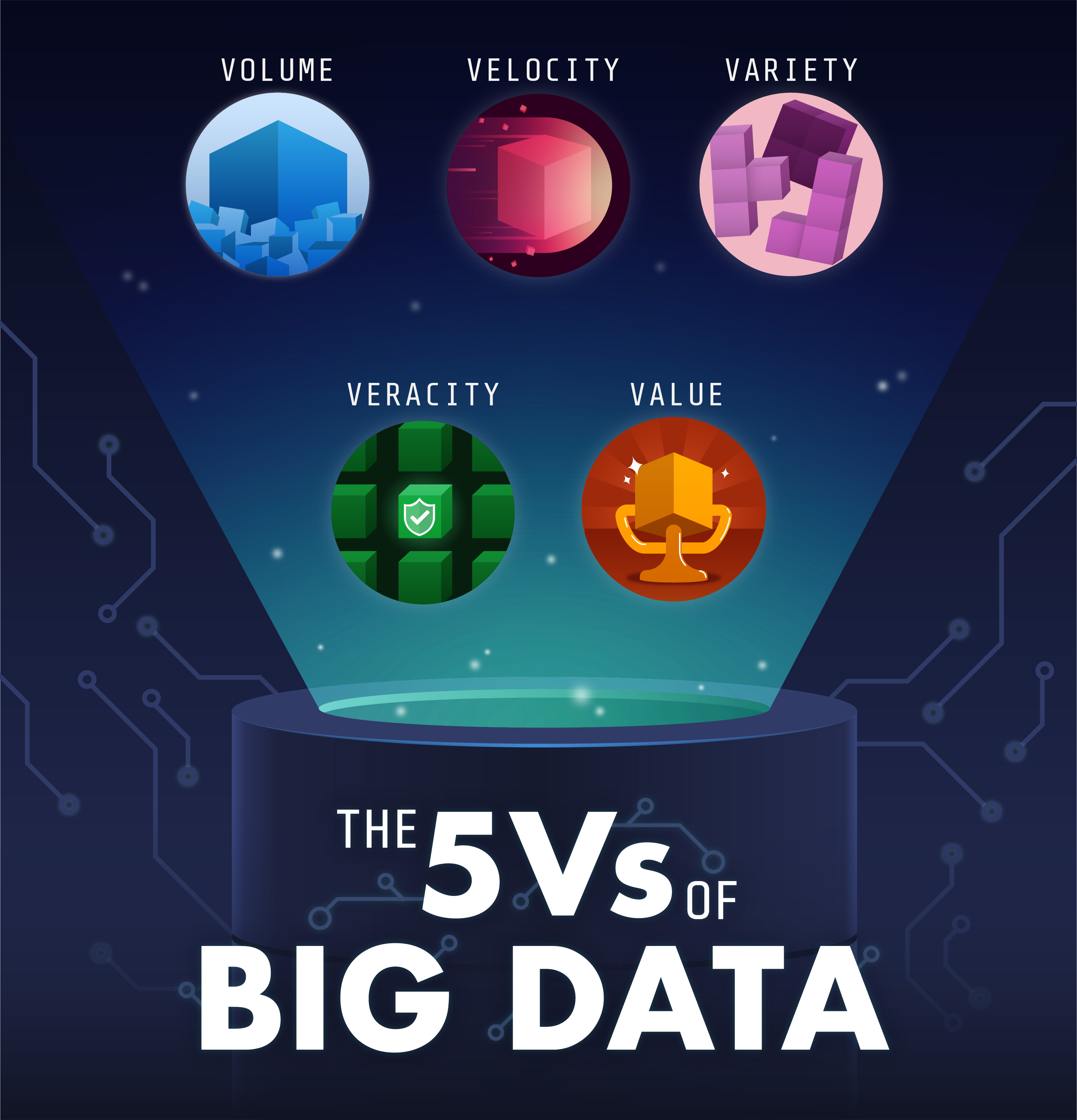 What are the 5 V's of Big Data?